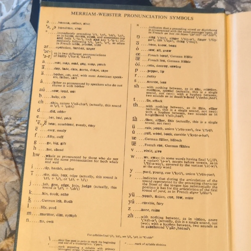 Webster's Seventh New Collegiate Dictionary